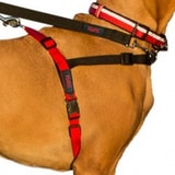 Halti Harness
